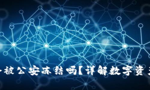 imToken冷钱包会被公安冻结吗？详解数字资产安全与法律风险