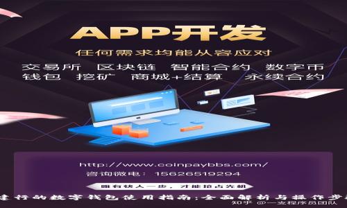  建行的数字钱包使用指南：全面解析与操作步骤