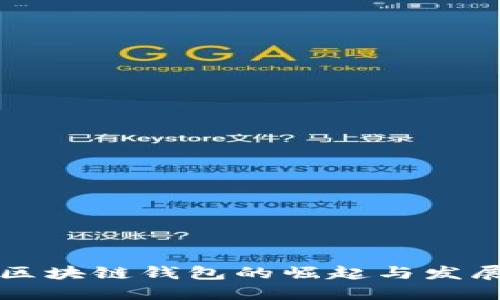 美洲区块链钱包的崛起与发展趋势