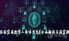 哪些国家有数字人民币钱包？全面解析及国家概