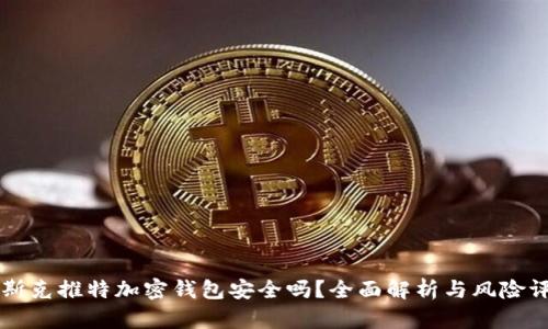 马斯克推特加密钱包安全吗？全面解析与风险评估