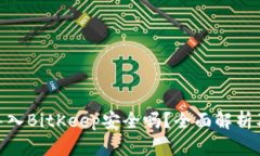 imToken导入BitKeep安全吗？全面解析及用户指南