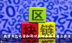  数字钱包无法扫码付款的原因及解决