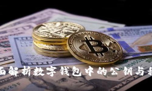 全面解析数字钱包中的公钥与私钥