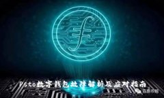 Psto数字钱包故障解析及应对指南